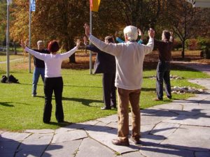 Het herhaaldelijk bewegen en correct ademhalen wordt geacht de stroming van Qi (levensenergie) in het lichaam positief te beïnvloeden. Elk lichaamsdeel (met de nadruk op interne organen) wordt geacht een zekere mate van Qi te hebben. Het herhaaldelijk bewegen en correct ademhalen wordt geacht de stroming van Qi (levensenergie) in het lichaam positief te beïnvloeden. Elk lichaamsdeel (met de nadruk op interne organen) wordt geacht een zekere mate van Qi te hebben.