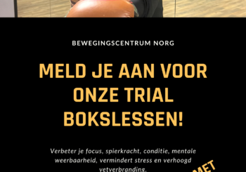 Bokslessen bij Bewegingscentrum Norg